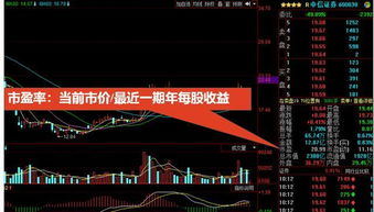 股票入門基礎(chǔ)知識--信用交易