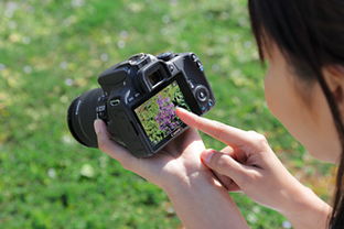 白話,基礎知識,單反相機