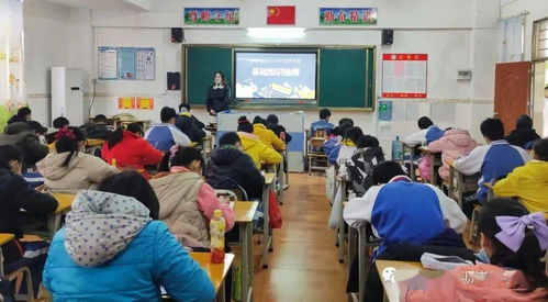 如何夯實(shí)小學(xué)生的基礎(chǔ)知識(shí)