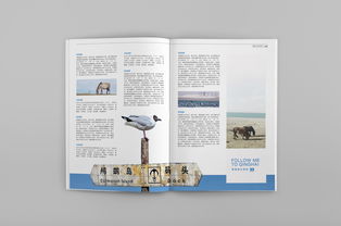 書(shū)籍版面與排版的基礎(chǔ)知識(shí)