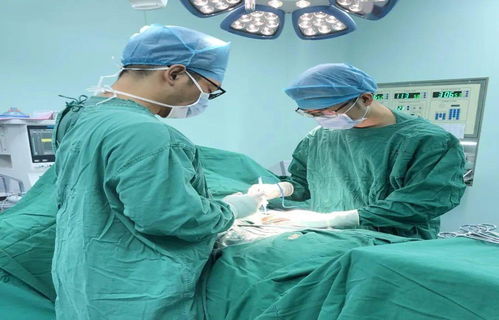 胃腸疝外科基礎(chǔ)知識(shí)