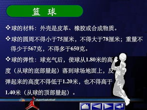 籃球基礎(chǔ)知識培訓(xùn)課件