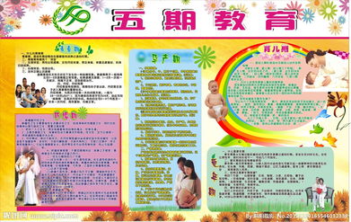 計劃生育基礎(chǔ)知識教育教案,計劃生育基礎(chǔ)知識試題,計劃生育基礎(chǔ)知識培訓(xùn)內(nèi)容