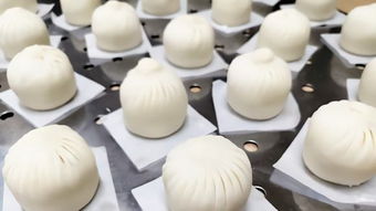 中西式面點(diǎn)專業(yè)基礎(chǔ)知識