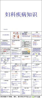 基礎(chǔ)知識,生殖系統(tǒng),女性,ppt