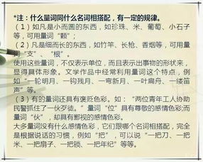 教育部高中暑假語(yǔ)文基礎(chǔ)知識(shí)