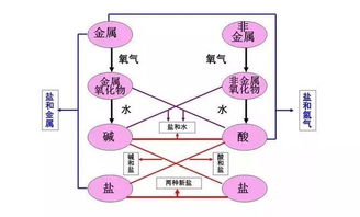 注重基礎(chǔ)知識的積累,注重基礎(chǔ)知識的教學(xué),如何注重學(xué)生對基礎(chǔ)知識的理解和掌握