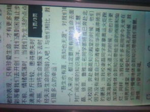 基礎(chǔ)理論,心得體會(huì),基本知識(shí)