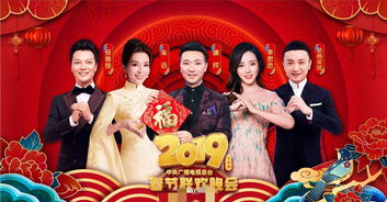 基礎知識,晚會,主持人,大學