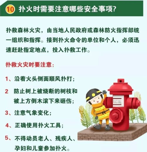 森林滅火安全基礎(chǔ)知識