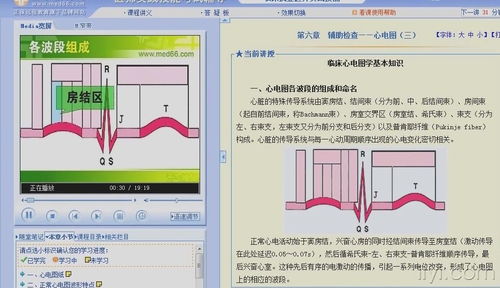 心電圖,基礎知識,教學