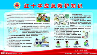 應急基礎救護知識