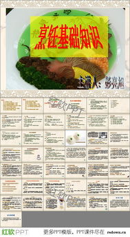 烹飪基礎知識pdf,西餐烹飪基礎知識,烹飪基礎知識教材