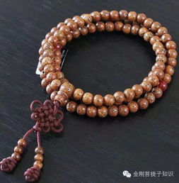 星月菩提基礎(chǔ)知識