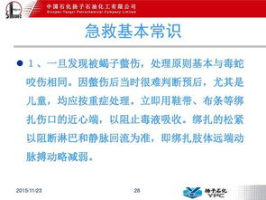 常規(guī)急救基礎知識,急救基礎知識考試試題,中學生急救基礎知識