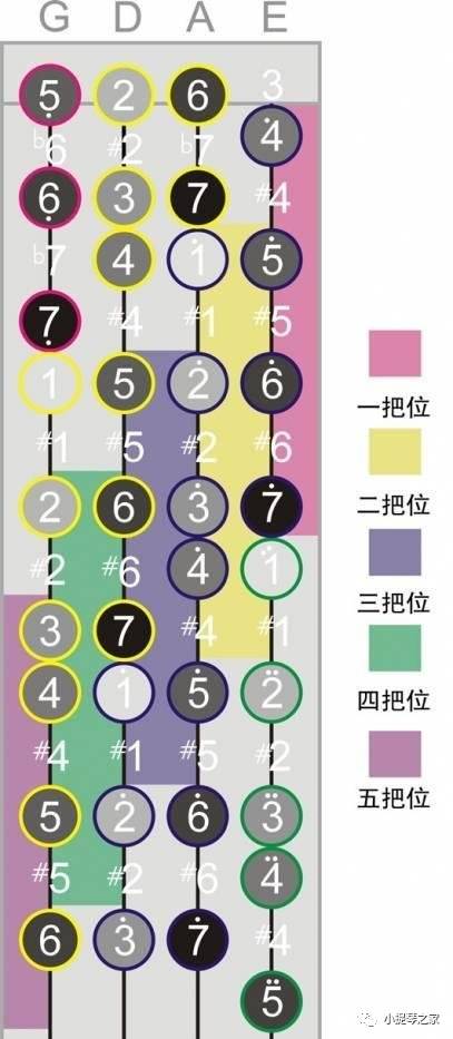 小提琴和五線(xiàn)譜入門(mén)基礎(chǔ)知識(shí)