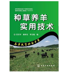 畜牧業(yè)生產管理的基礎知識