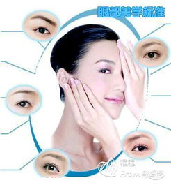 眼部美容基礎知識