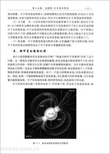 天文學(xué),知識(shí)點(diǎn),基礎(chǔ)