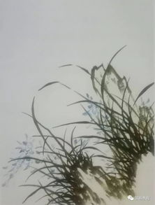 中國畫基礎知識蘭花