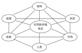 市場(chǎng)營(yíng)銷的基礎(chǔ)理論知識(shí)