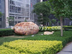 關(guān)于種植玉米的基礎(chǔ)知識(shí),農(nóng)業(yè)種植基礎(chǔ)知識(shí),綠化基礎(chǔ)知識(shí)試題