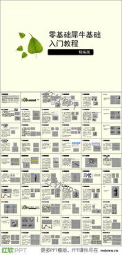 音樂入門零基礎(chǔ)知識(shí)ppt