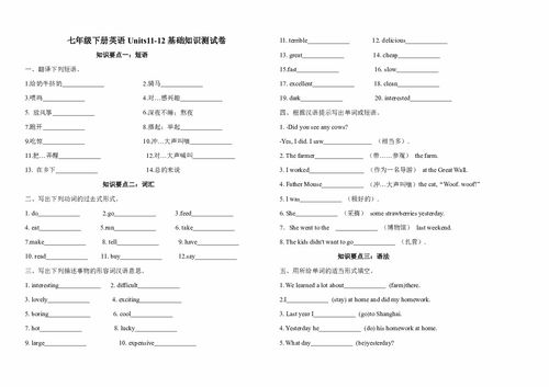 七級(jí)英語基礎(chǔ)知識(shí)測(cè)試