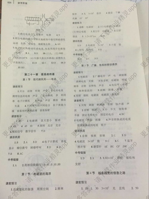 八級(jí)上冊(cè)物理基礎(chǔ)知識(shí)訓(xùn)練答案