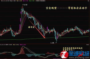 macd圖基礎(chǔ)知識(shí)