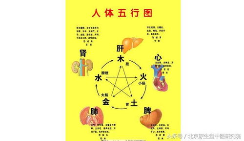中醫(yī)藥基礎(chǔ)知識(shí)陰陽五行學(xué)說