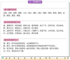 小結(jié),基礎(chǔ)知識,語文教師,測試