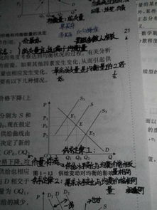 基礎(chǔ)知識,經(jīng)濟(jì)學(xué),宏微觀