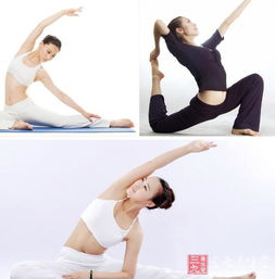 英語基礎(chǔ)知識教學(xué),炒股基礎(chǔ)知識入門教學(xué),簡譜入門基礎(chǔ)知識教學(xué)