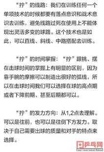 乒乓球,基礎知識,理論