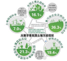 環(huán)?；A(chǔ)理論知識