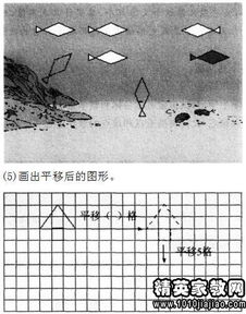 小學(xué)教育基礎(chǔ)知識高頻簡答題