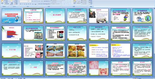 傳染病基礎(chǔ)知識ppt