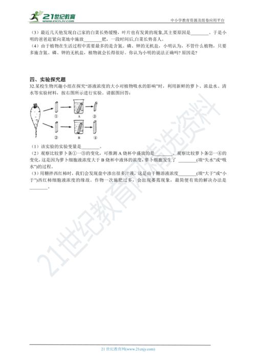 第四章植物分類的基礎(chǔ)知識