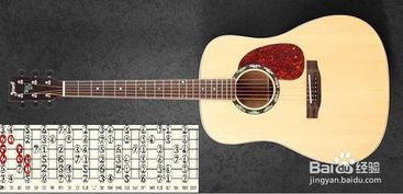 初學(xué)吉他零基礎(chǔ)知識