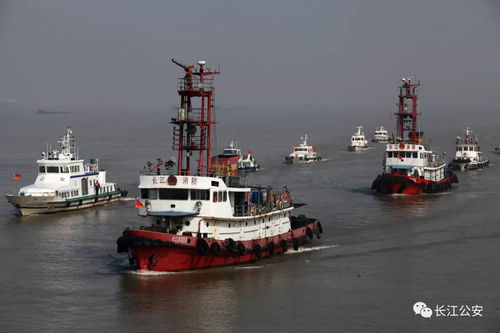 國考長江航運公安局考公安基礎知識嗎,國考公安崗位是考公安基礎知識嗎,國考公安需要考公安基礎知識嗎