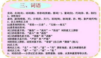 打好,基礎知識,小學