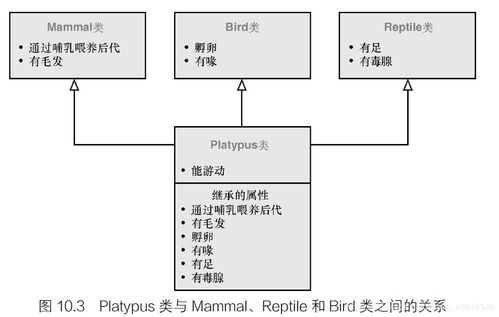 c繼承的基礎(chǔ)知識