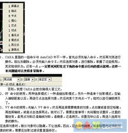 知識(shí)點(diǎn),入門,基礎(chǔ),caxa