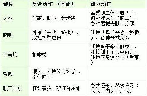 身體基礎(chǔ)知識