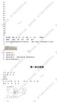 三級數(shù)學學生知識基礎(chǔ)現(xiàn)狀分析