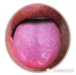 基礎(chǔ)知識(shí)