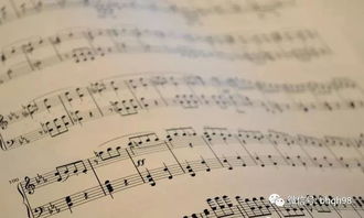 樂理基礎(chǔ)知識中C與E是大三度嗎