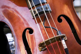 小提琴理論基礎(chǔ)知識(shí)