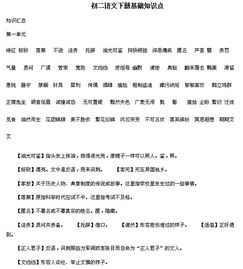 基礎(chǔ)知識(shí),語(yǔ)文,初二下